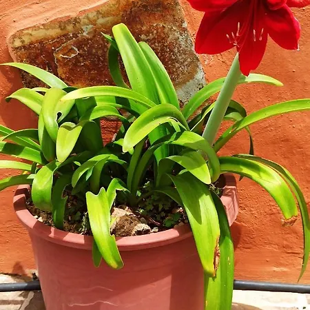 Casa De Abuelos Σπίτι διακοπών *