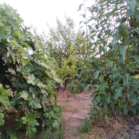 Casa De Abuelos Σπίτι διακοπών *