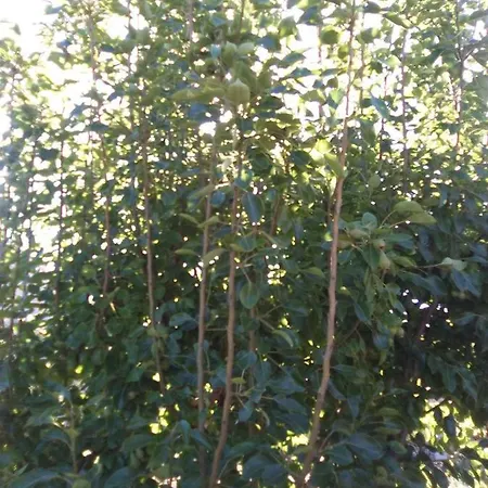 Casa De Abuelos Σπίτι διακοπών