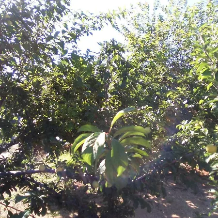 Дом отдыха Casa De Abuelos *