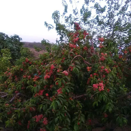 Casa De Abuelos Hébergement de vacances *