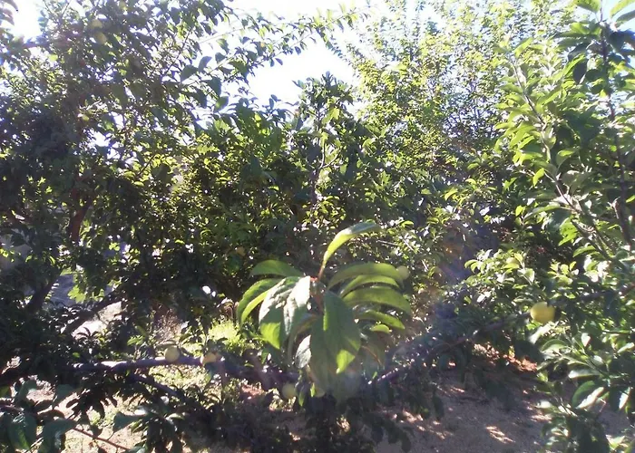 Semesterbostad Casa De Abuelos *