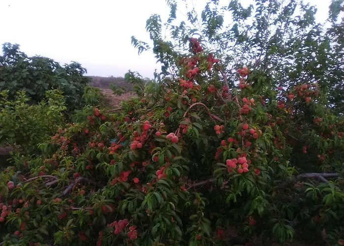 Casa De Abuelos Holiday home *