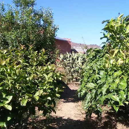 Casa De Abuelos Vilaflor
