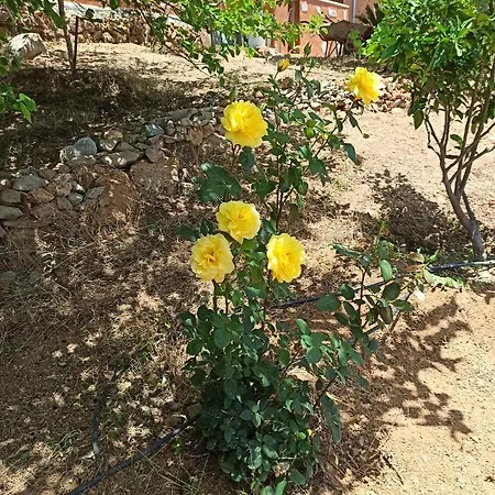 Casa De Abuelos *