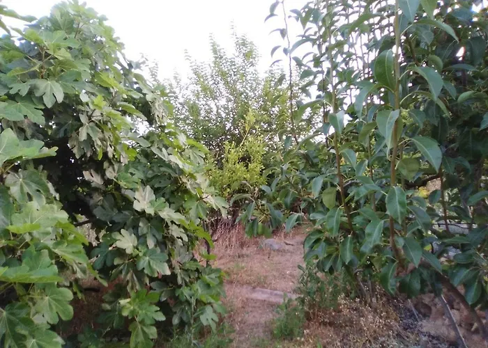 Casa De Abuelos Nyaraló *
